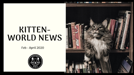 Cat News by Kitten-World | Episode 2 | Feb - April 2020
