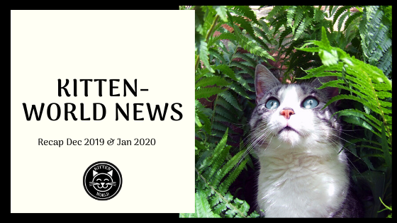 Kitten-World News | Dec 2019 & Jan 2020
